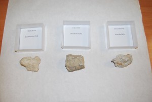 mineralogía-3-nov13-300x201